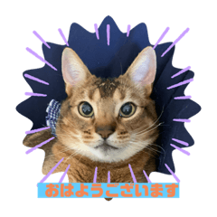 sumire_20200608125614