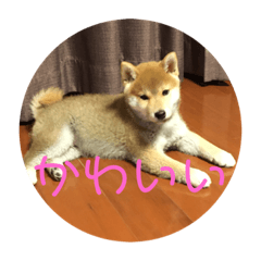 Peace  stamp