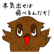 The owl which I want to insist on