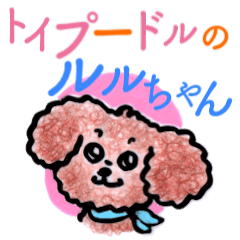Lulu, the Toy Poodle