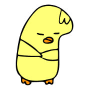 PIYOKORIN chicks 2