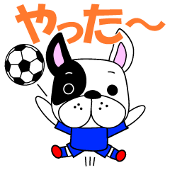 サッカー犬　青ユニ版