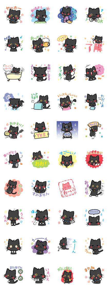 mild-Black cat