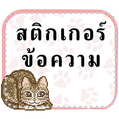 Message sticker of cats 1_TH