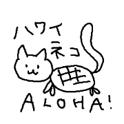 Hawaii neko(cat)