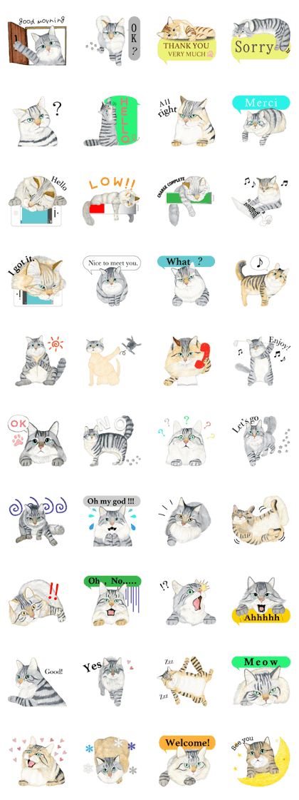 MaineCoon Sticker