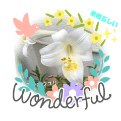 The sky, the flowers, and you.