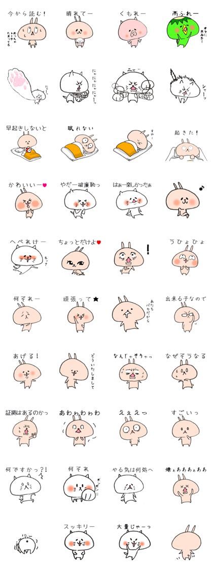 Loose Rabbit and cat,many different