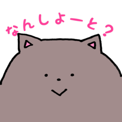 Cat speaks the Fukuoka dialect