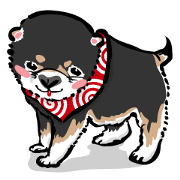 Edo Dog Puppy Edoccoinu Kuromame