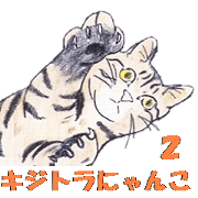 kijitora cat 2