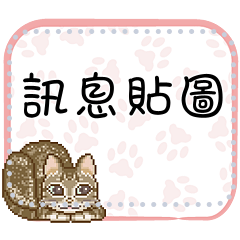 Message sticker of cats 1_TW