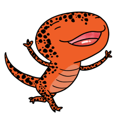 The Reminder of Red Salamander