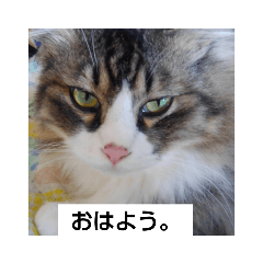 asuka_20200608163225