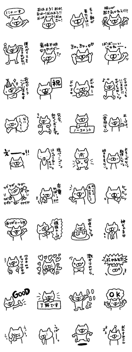 AHO cat