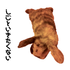 Nico_202006052053334