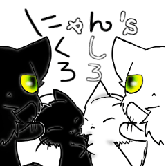 white&black cat 2