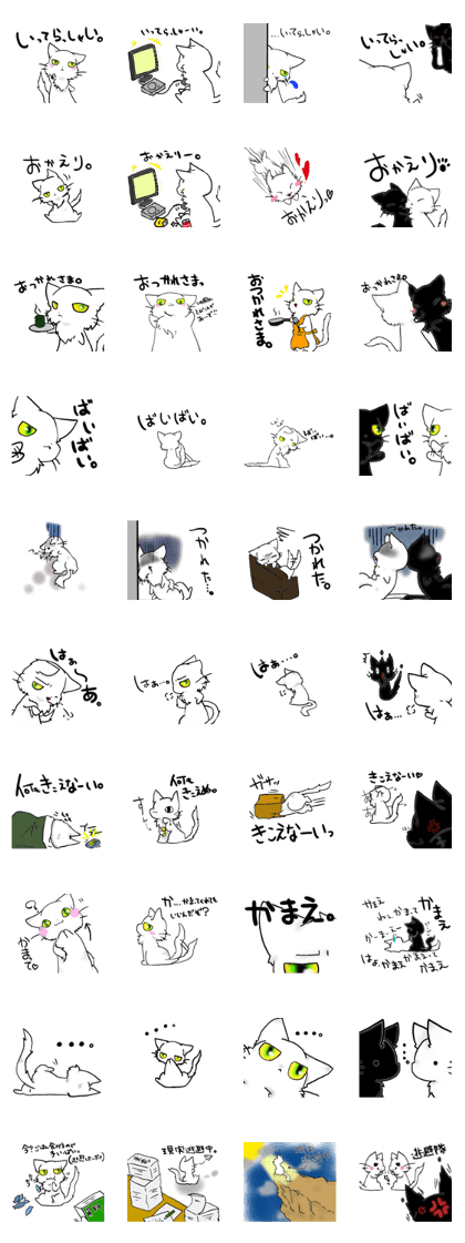 white&black cat 2
