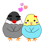 The cute Java sparrows and parrots