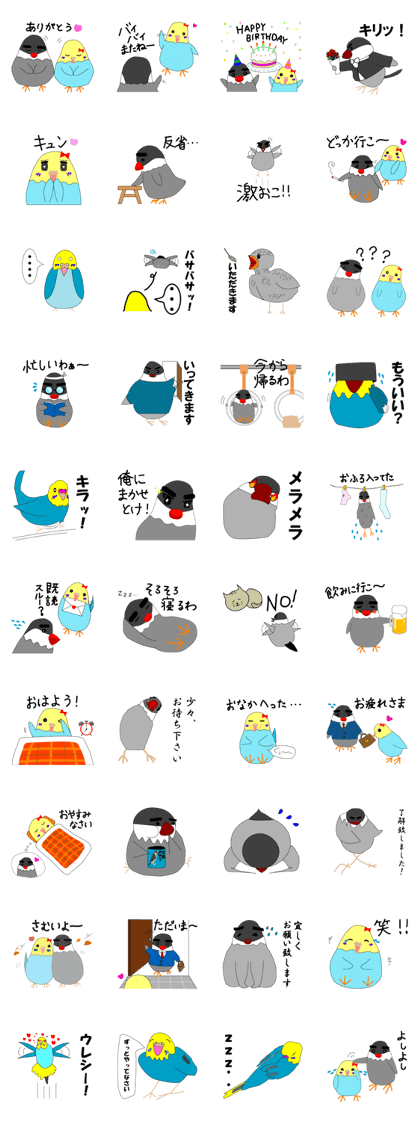 The cute Java sparrows and parrots