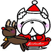 French bulldog Pistachio vol.8 x'mas