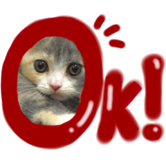 mIchiko_20200608205536