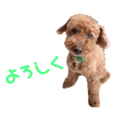 Yuurikaron_20200608213155