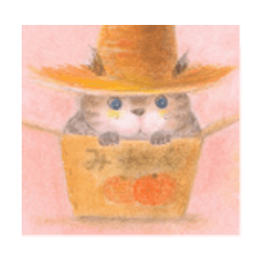 The cat which put on a straw hat