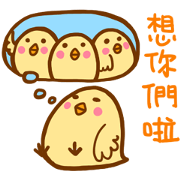 for chatroom