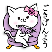 Madamu cat