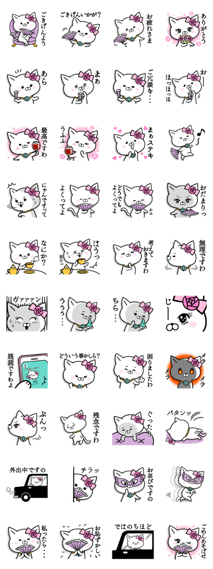 Madamu cat