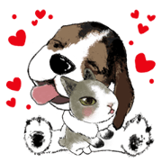 When the beagle meets the little rabbit