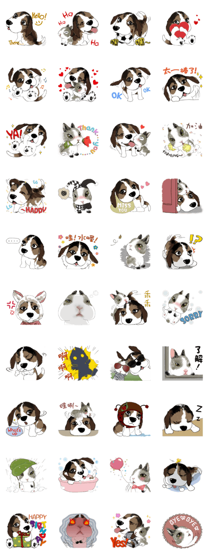 When the beagle meets the little rabbit