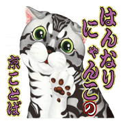 Cat talks in Kyoto style 'Hannari'