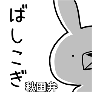 Dialect rabbit [akita]
