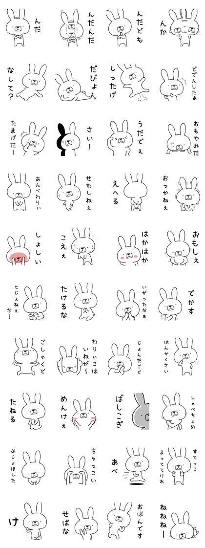 Dialect rabbit [akita]