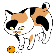Happy life with a cat (Part5)