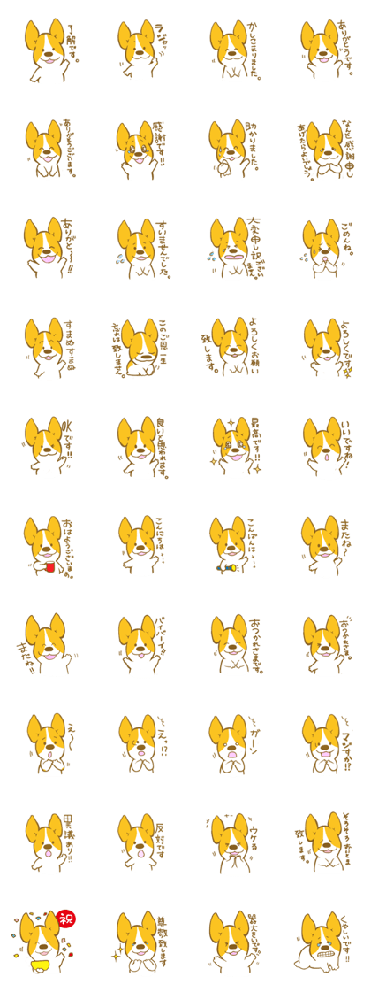corgi taro3