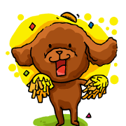 Poodle  lucky