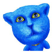 Sweet kitten Bruni
