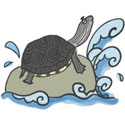 Turtles like to sleep