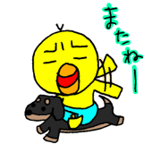 piyo-piyo-pi-yo