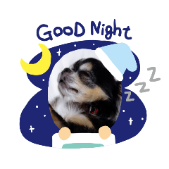 matsu_20200608203125