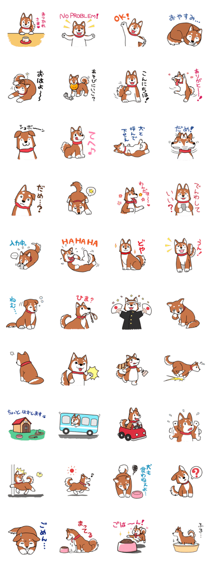 Shiba-P.