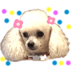 Sayuri_20200608213225