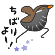 Crake-san & Okinawan dialect