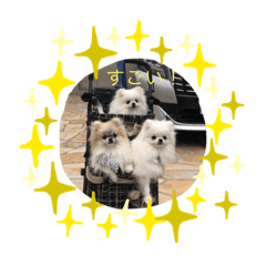 My Princess KoyukiLaraLionne