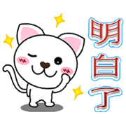 Big ears cat