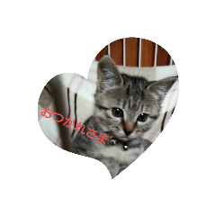 tomomi_20200608223304