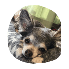 omochi_20200608215801